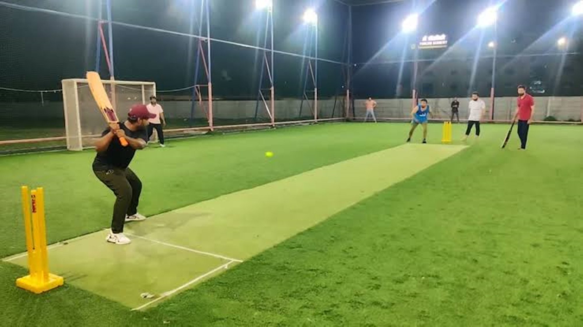 Cricket players celebrating a victory